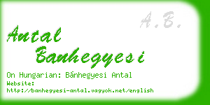 antal banhegyesi business card